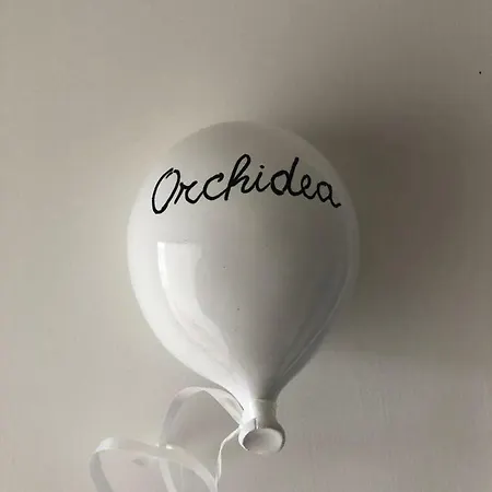 Suberito Rooms&bar Bed & Breakfast Terlizzi