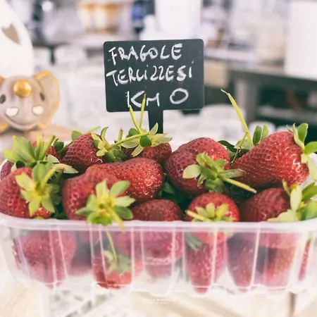 Bed & Breakfast Suberito Rooms&bar Terlizzi